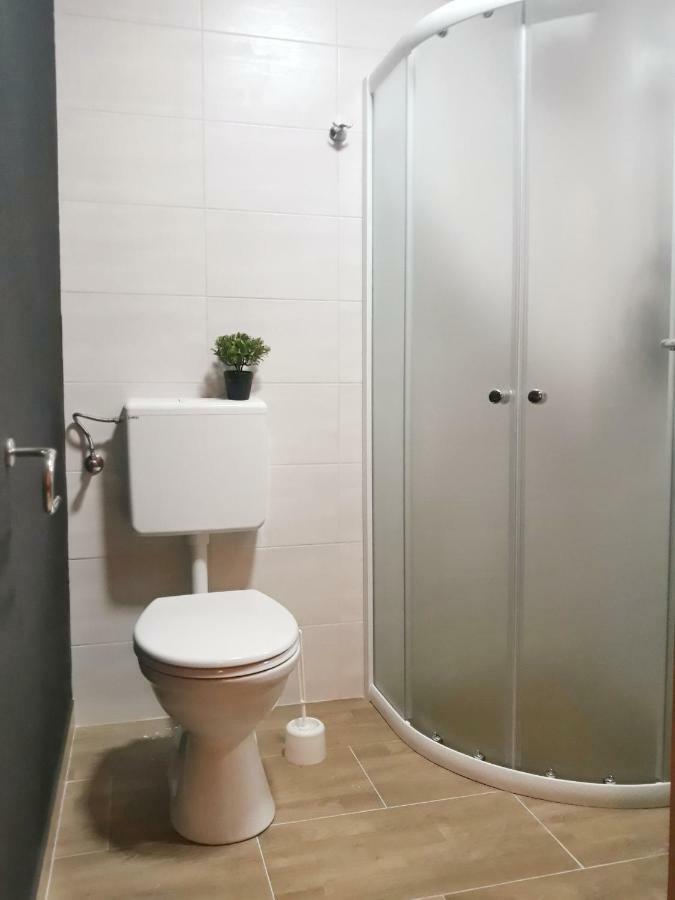 Villa Mihaela - Apartment Ika Cesarica Extérieur photo
